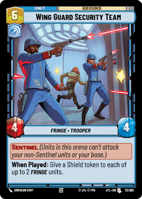 Wing Guard Security Team